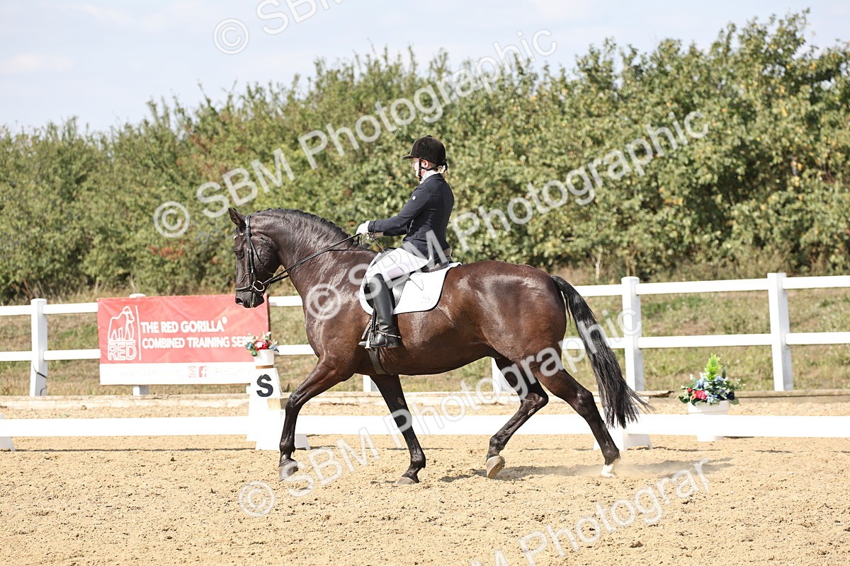 SBM_014872 - Class 7 - Medium 3