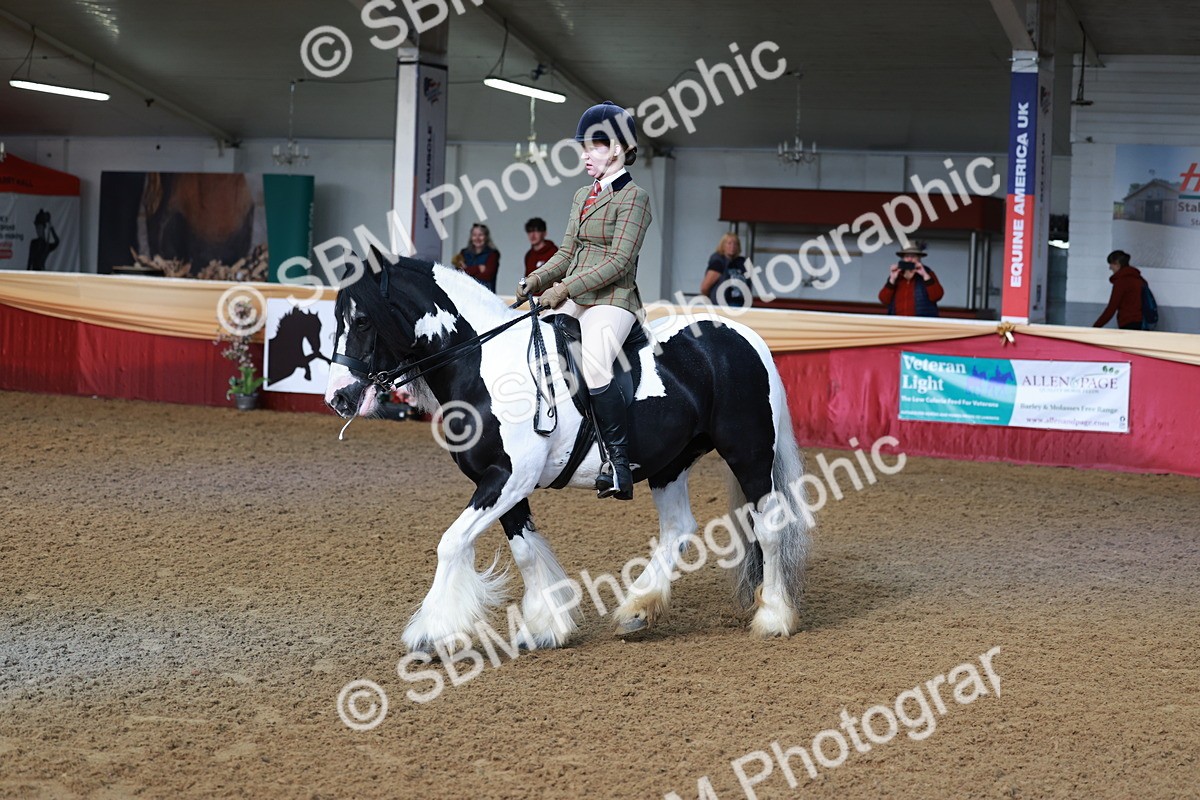 SBM_11893 - Class 102 - Equitation (Best Rider) Adult