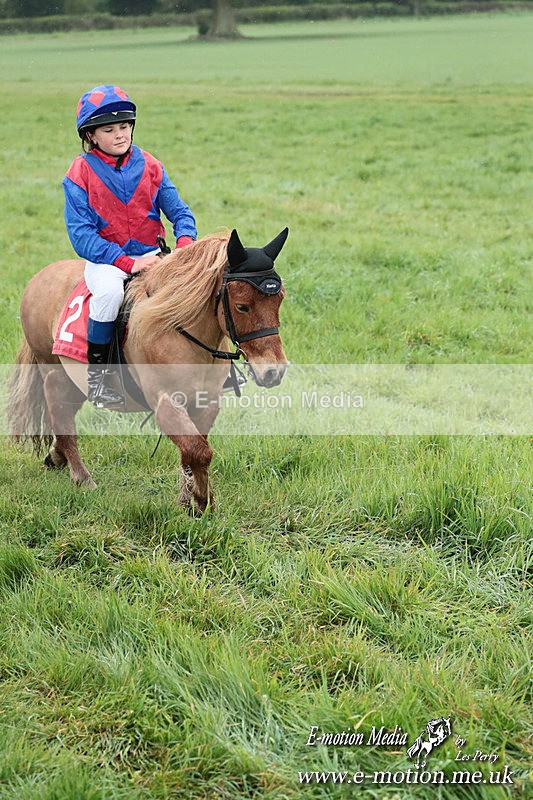 SHETPR 210425 154 - Shetland Ponies Paxford Races 21/04/25
