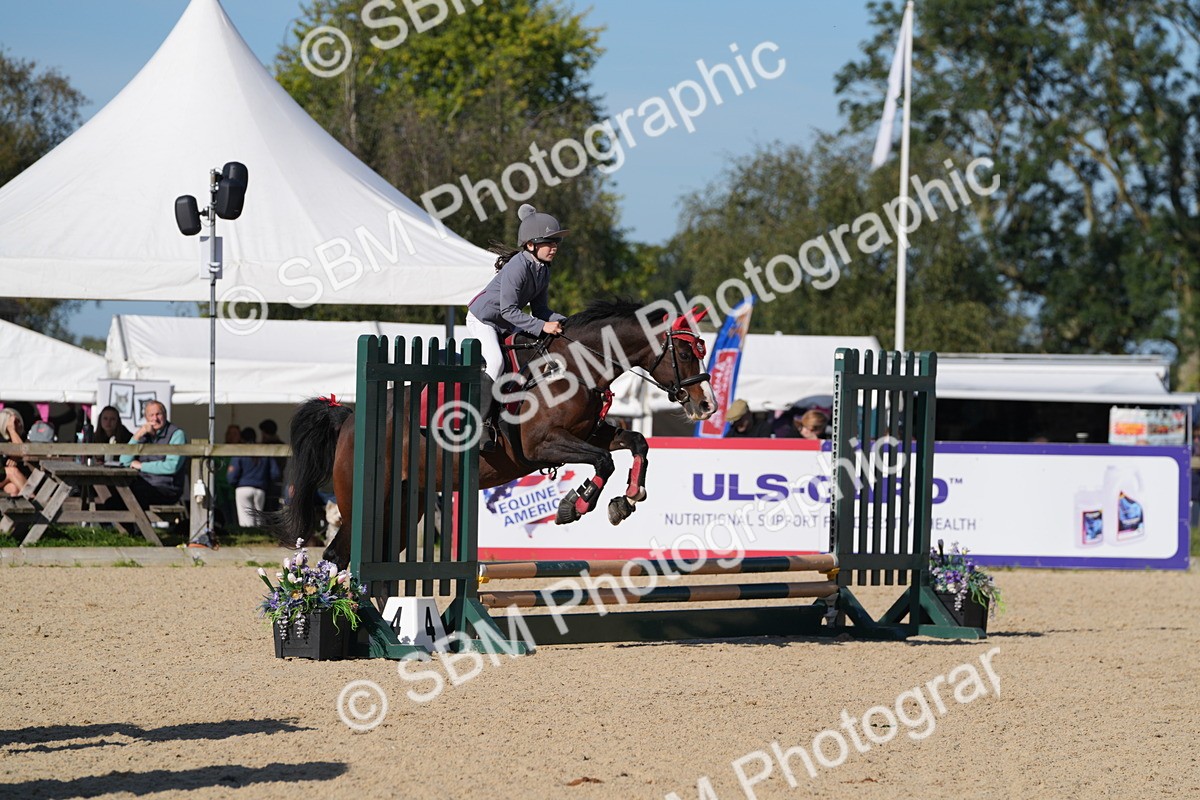 SBM_36179 - J 20 - Junior Horse 50cm Championship