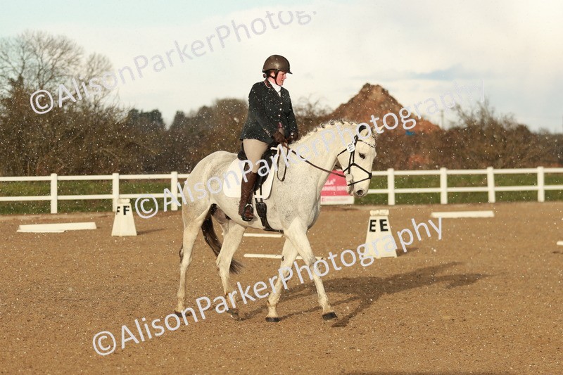 20260314-6411 - CT7 - Elementary 2