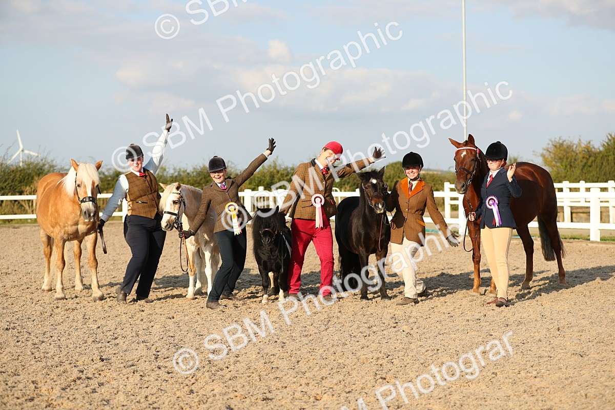 SBM_09182 - Class 29 IH Veteran Pony