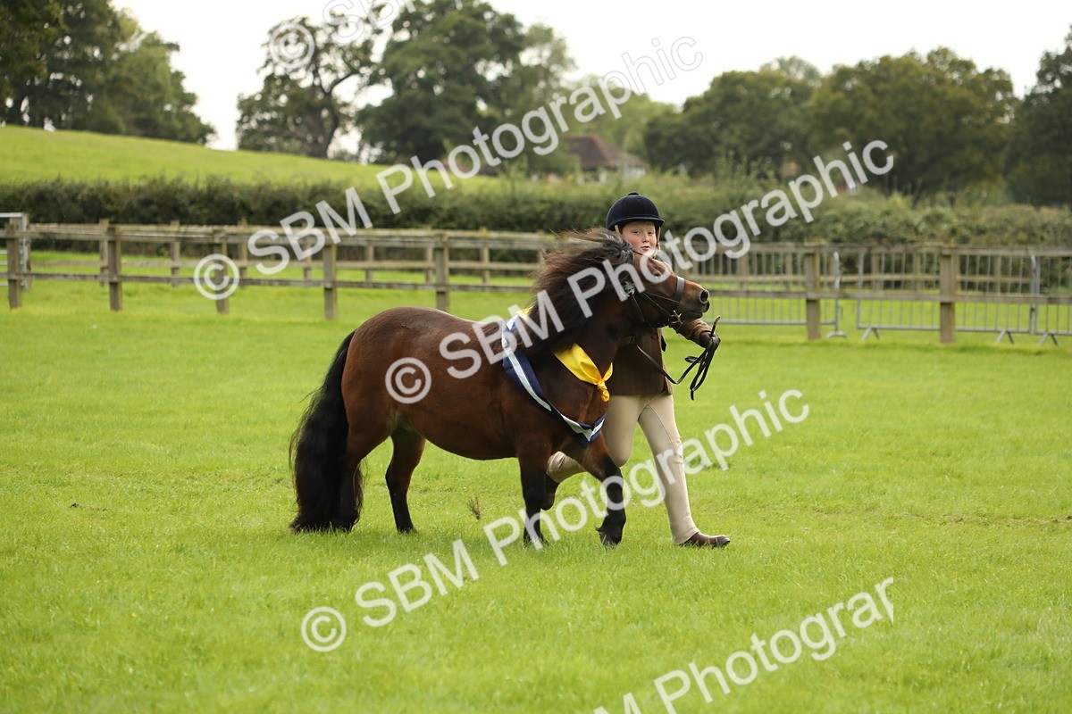 SBM_75422 - Equitation Supreme Championship
