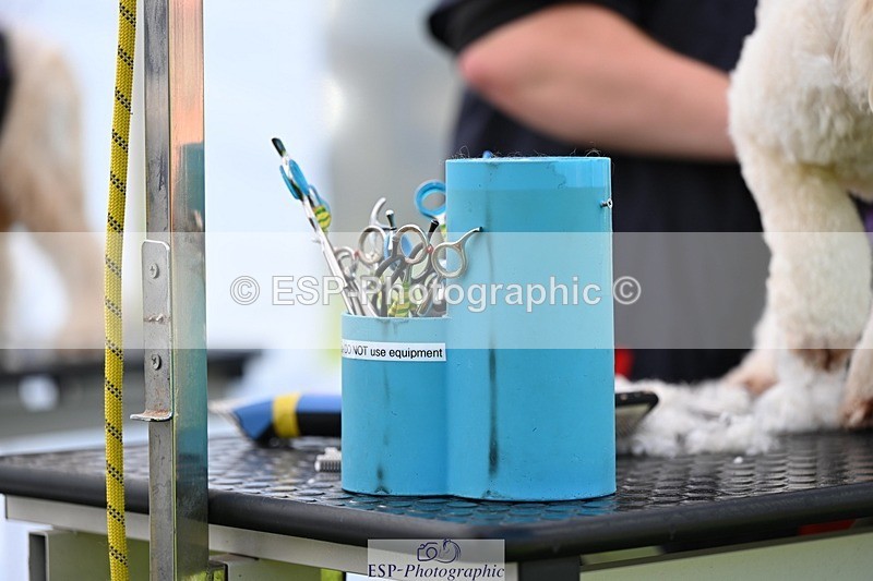 240525-114804-12626 - Candid and Saturday Hobby Horse