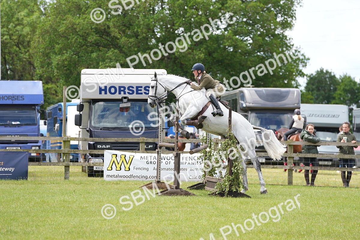 SBM_14988 - Class 100-102 - RIHS Working Hunter