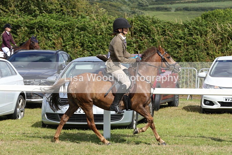 1X9A5830 - Class 40: NPS Welsh A & B