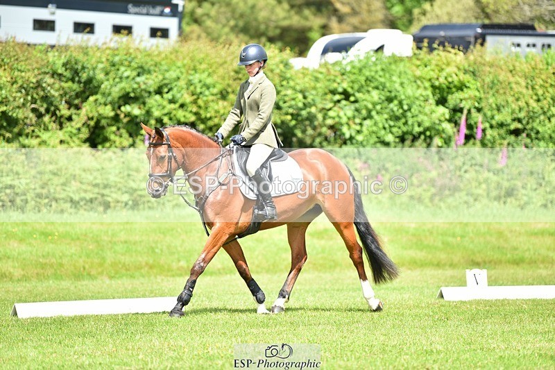 240523B-113240-01994 - 5 Year Old