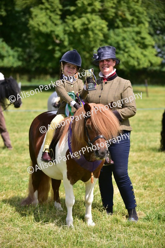 20260614-1297 - Class 11a - Lead Rein Pony (Unplaited)