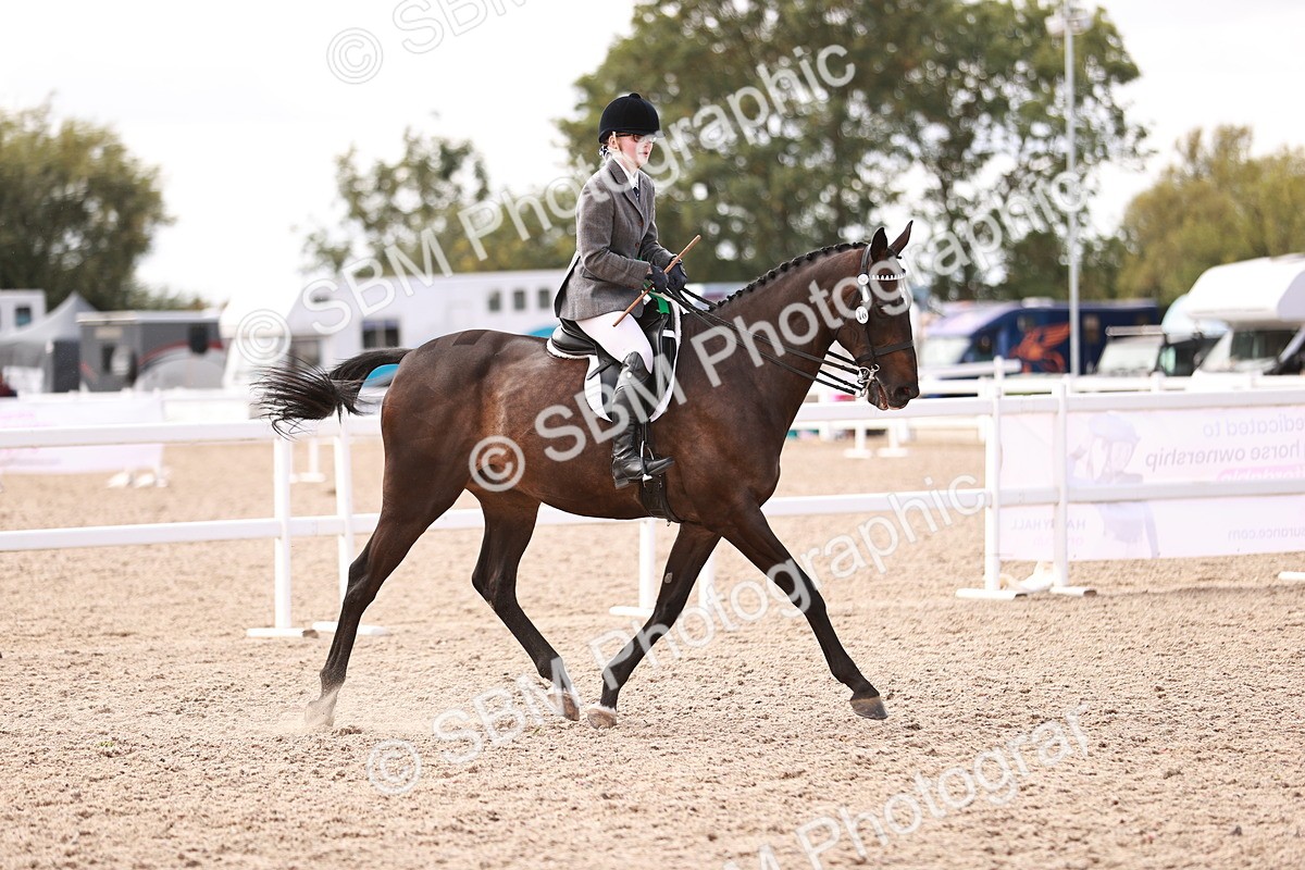 SBM_14498 - Class 410 - Grassroots Ridden - Horse