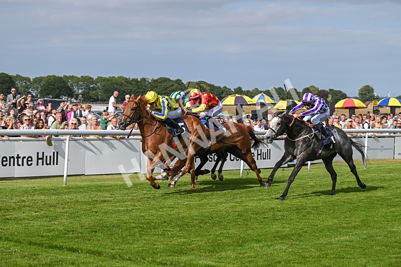 140824-Race 6-Glistening Nights-6882 - Race 6