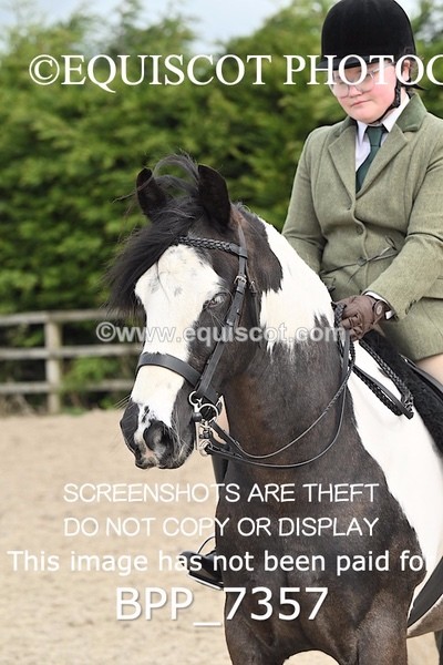 BPP_7357 - RING 1  (RIDDEN HORSES / IN HAND / VETERAN ETC)