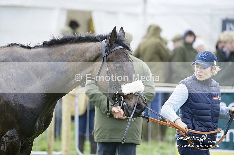 PtP 060322 198 - Blackmore & Sparkford Vale Hunt PtP 06/03/22
