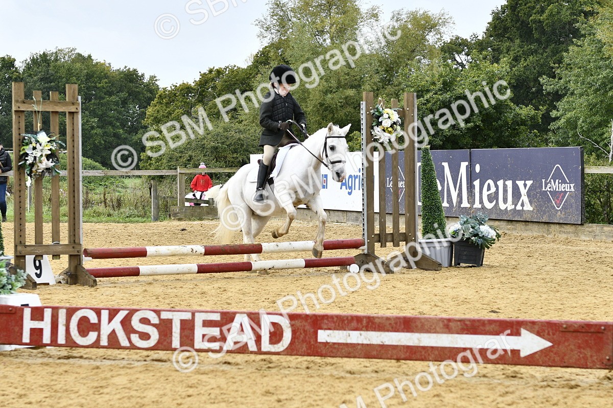 SBM_57318 - J61 - Mini Clear Round 30cm & 40cm