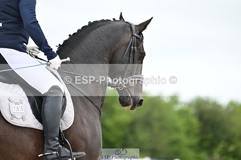 240623A-142254-18997 - Cls 51 BD Elementary 53