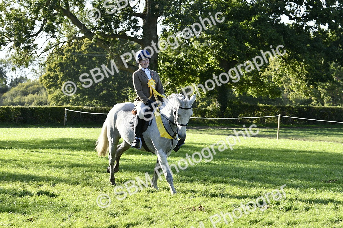 SBM_52284 - S35 - Working Hunter & Working Show Horse