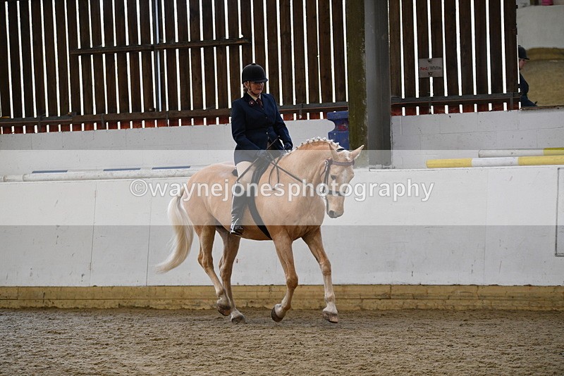 WJ5_6134 - Class 9 Ridden Veteran