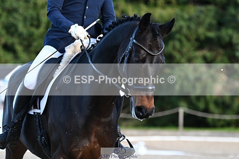 231110-133802-01004 - Cls 4 Novice 39Q