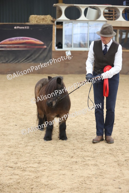 20251109-0382 - Class 14 - Geldings 4 Years and Over