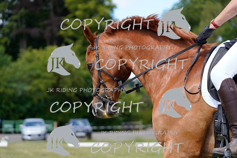 _DSC1245 - CLASS 4 NOVICE 1