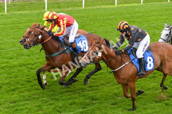 yr11062022r1-143 - Race 1 12.45pm Macmillan Ride of Their Lives, supported by Sky Bet