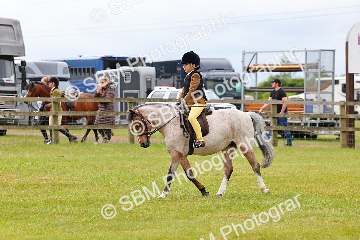 SBM_08590 - Class 42-43 - LIHS BSPS Heritage Working Sports Pony