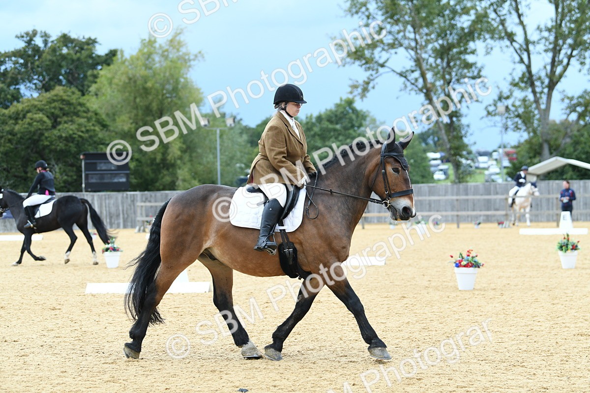 SBM_10013 - D15 Small Tour Championship Novice 24