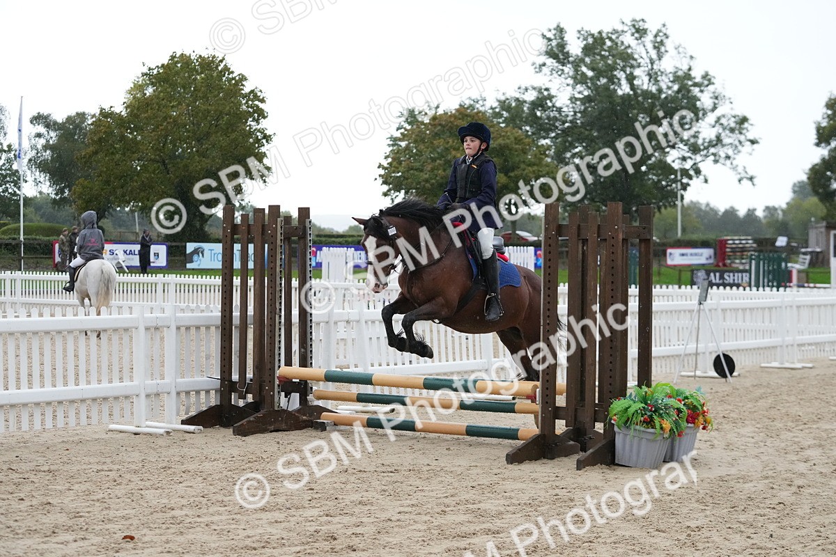 SBM_34031 - J5 - Junior Pony 50cm Championship