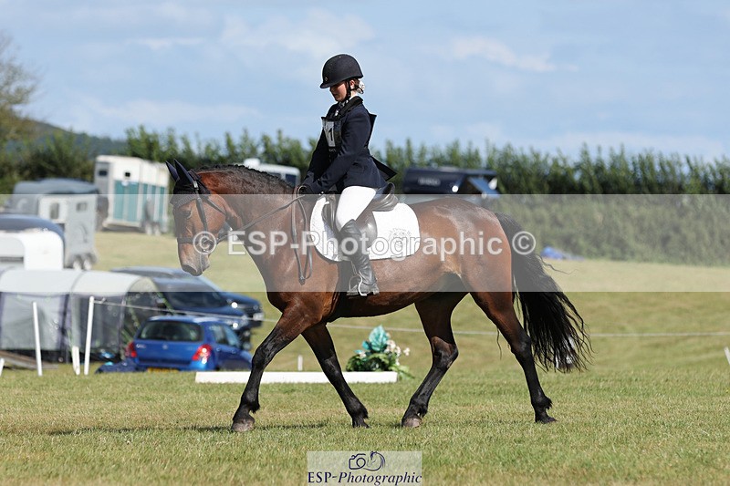 240824X-152322-28929 - D80 Ride off  14.15 to 15.30