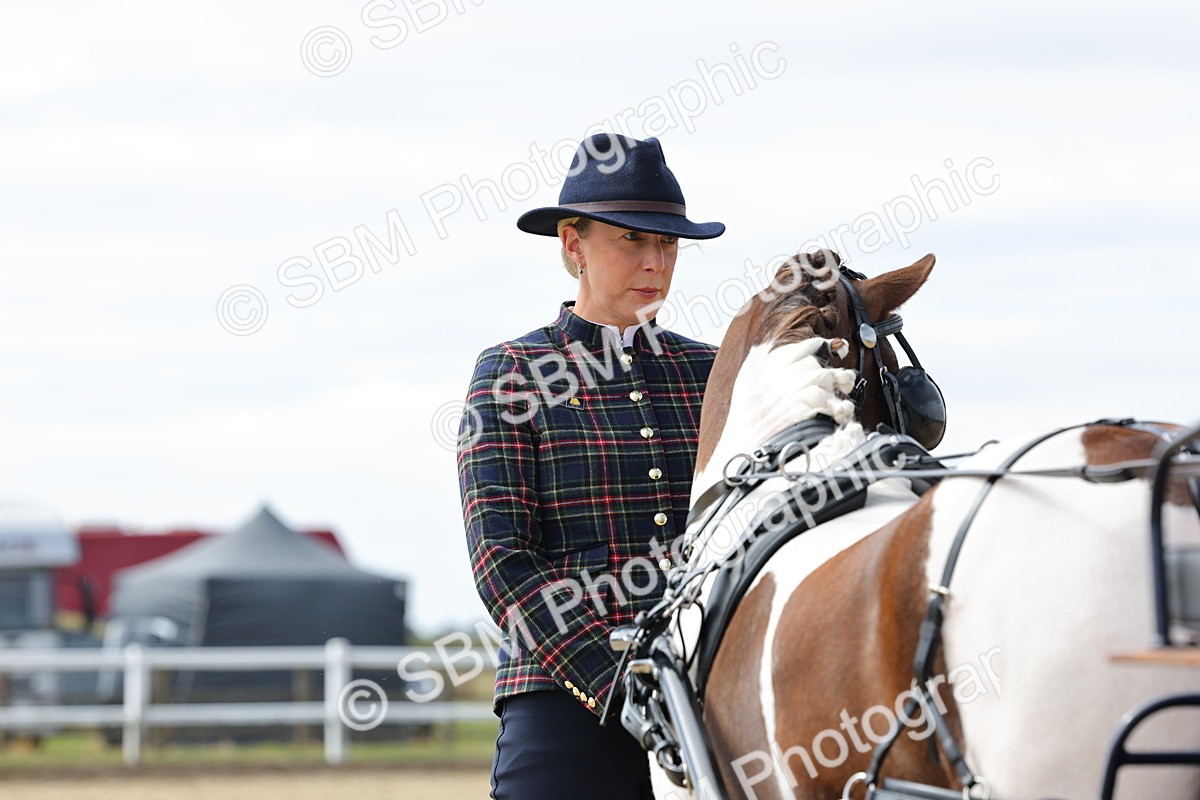 SBM_000929 - Class 8 - Novice Horse or Pony to any vehicle