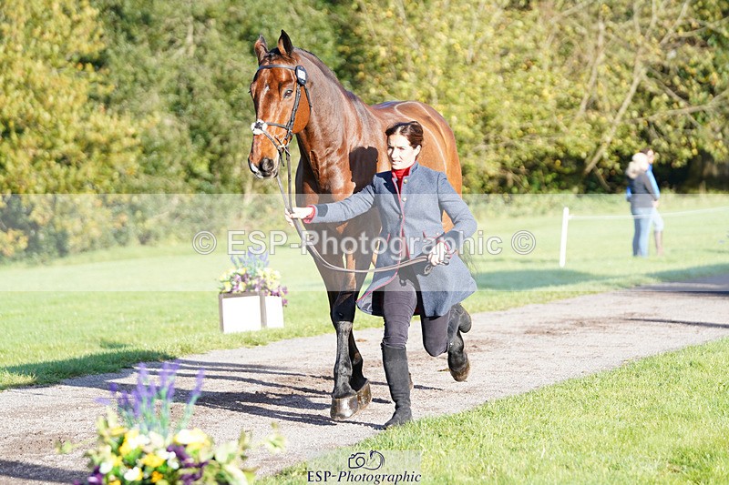 241026-101332-11694 - 053-Lois.Teal-Z7.CATASTROPHE