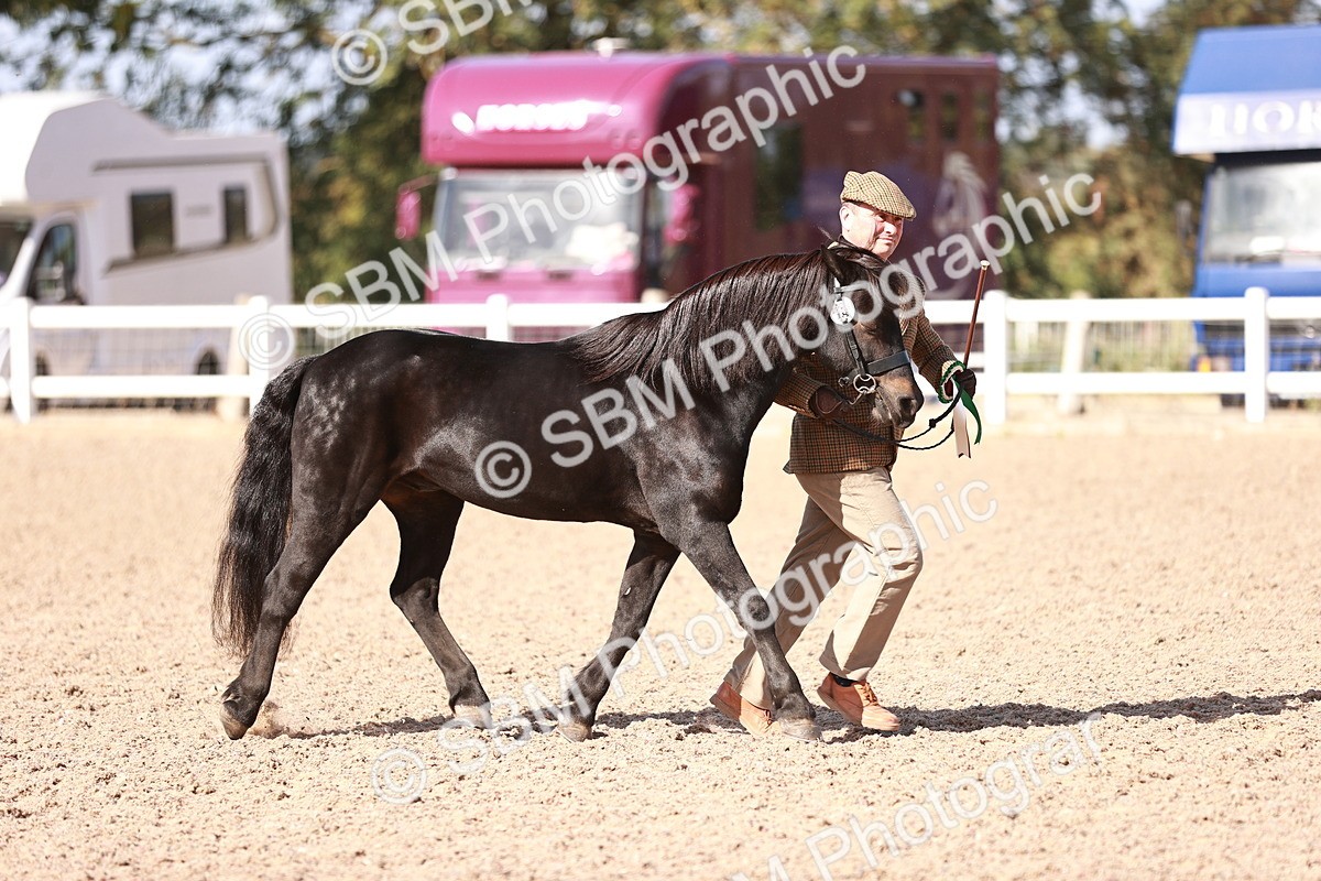 SBM_22852 - Class 705 - IH Combination 65+