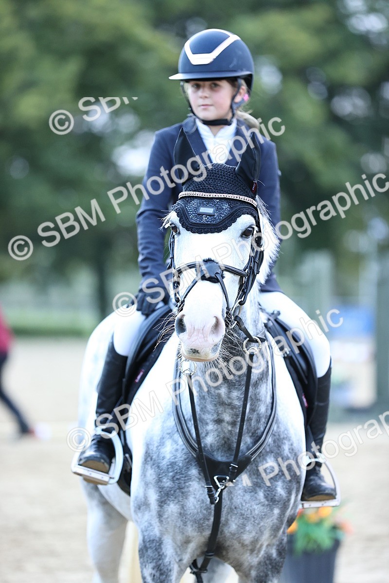 SBM_54388 - Supreme Championship 70cm 75cm