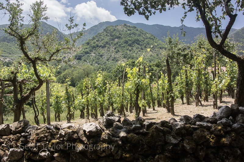 9422 Walk to Maratea - Basilicata
