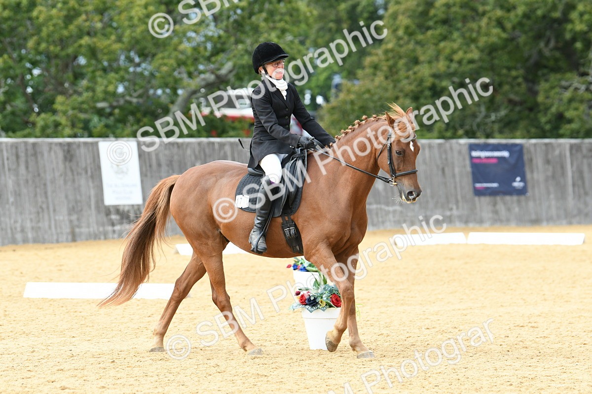 SBM_10972 - D28 Elementary Taster Elementary 42