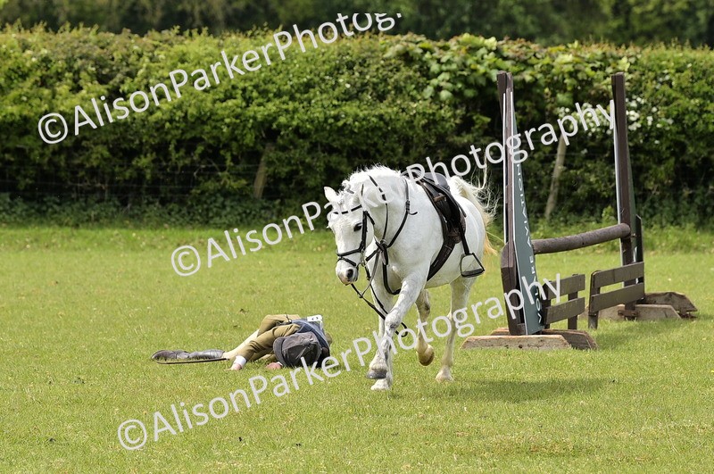 20260426-2424 - Class 21 - Working Hunter Ponies
