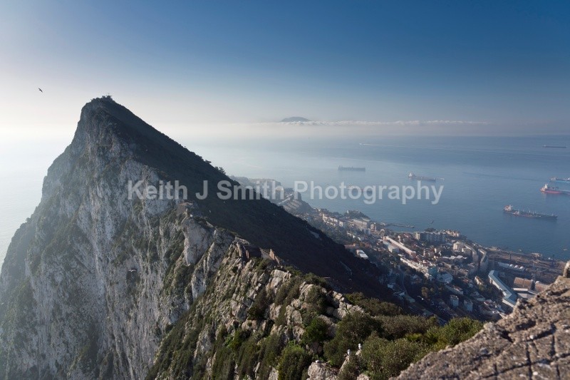 YR6M8589 - Worldwide