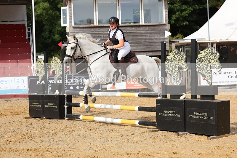 3E7A4867 - Class 13: Pony British Novice/80cm open