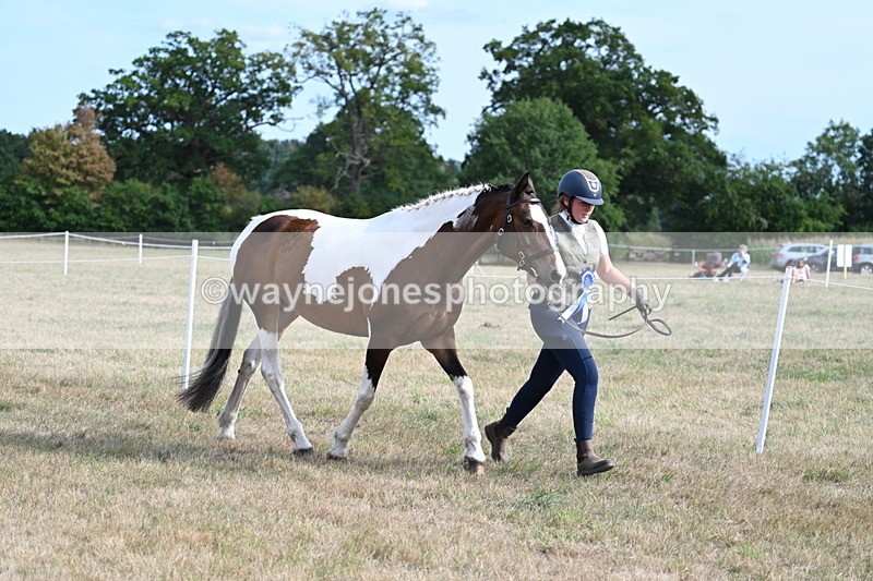 WJ7_8175 - In-hand Championship