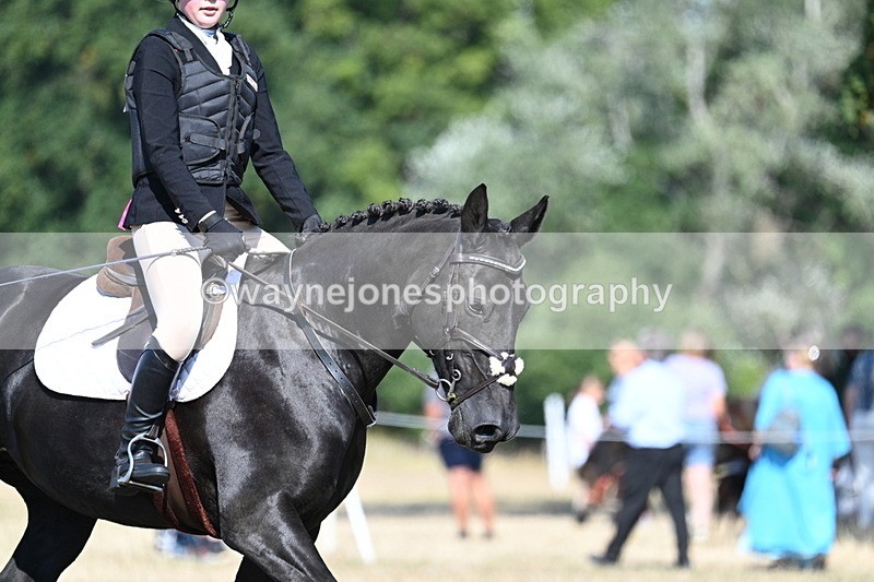 WJ7_9458 - Time 10:32 to 10:55