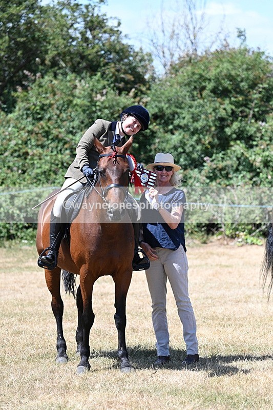 WJ7_3171 - Class 7 Riding Club Show Horse