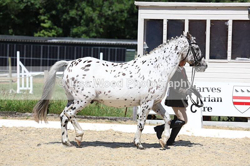 3E7A9418 - Class 29: Veteran In Hand