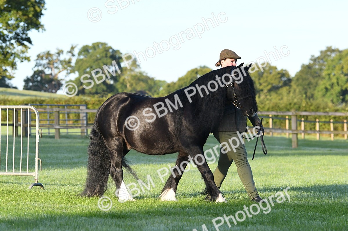 SBM_32445 - S15 - Condition & Turnout In Hand