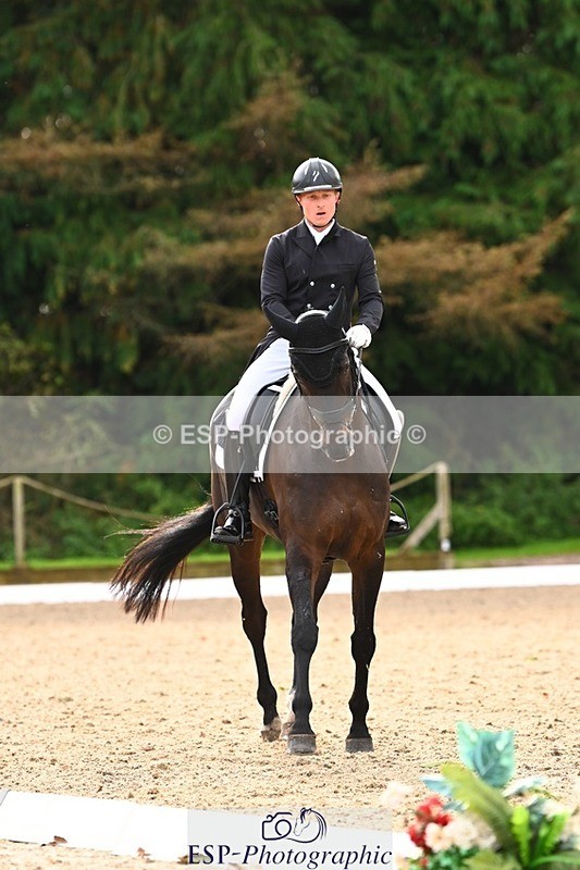 231021-135304-17727 - 351-MOONLIGHT.CHARMER-Aaron.Millar-DR