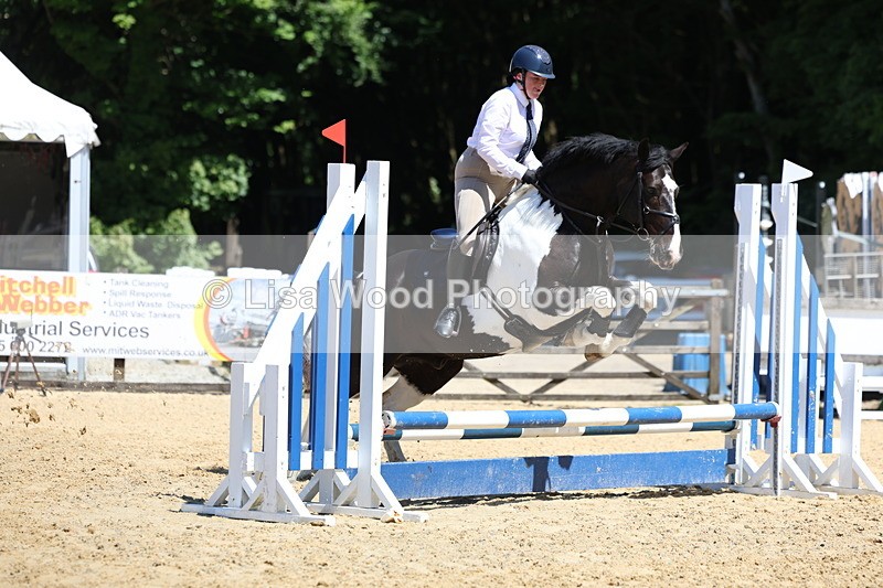 3E7A2300 - Class 4/5: 60cm Open Teams and Individuals