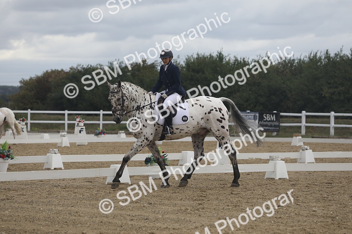 SBM_004020 - Class 5 - Prelim 3 - 15.08-15.50