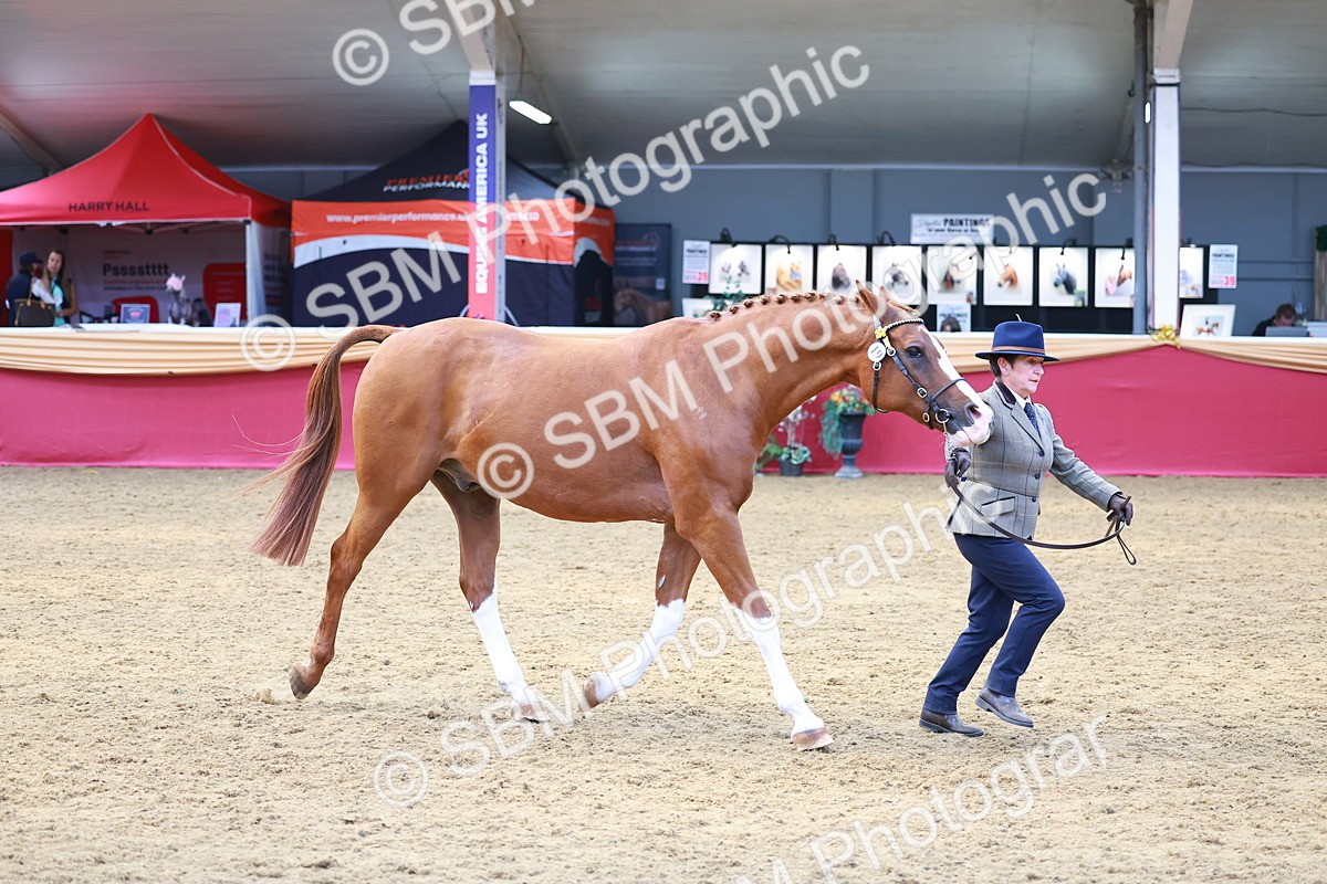 SBM_04138 - Class 9R - IH Pre-Vet