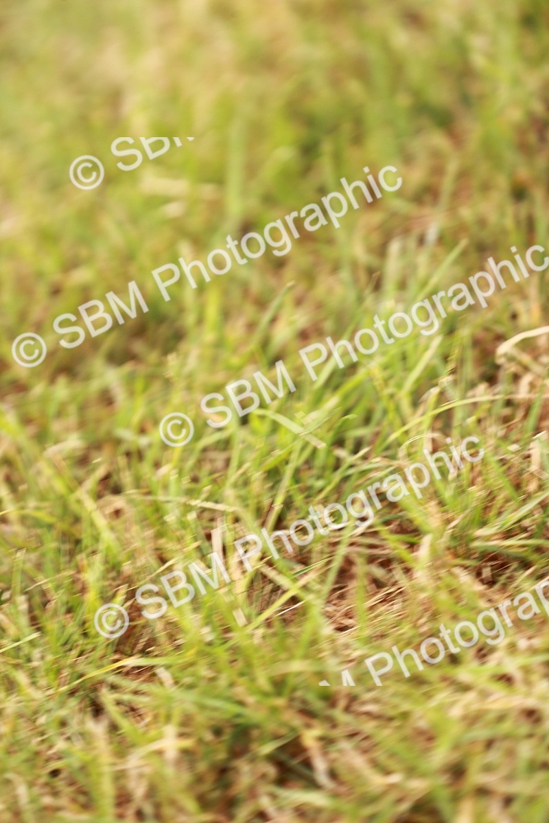 SBM_04618 - Class 5-8 - BSPA In hand