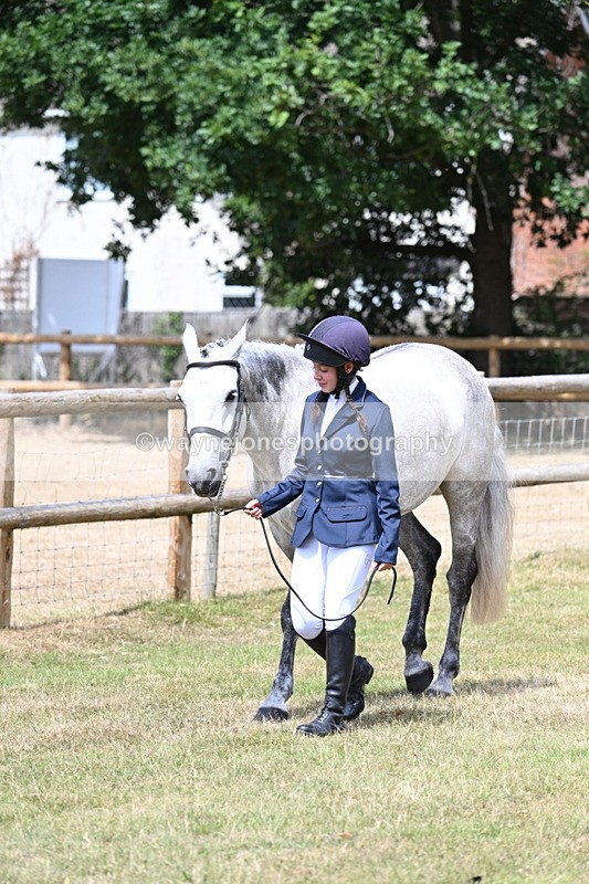 WJ7_1761 - Class 4a Prettiest Mare 14.2hh and over hand