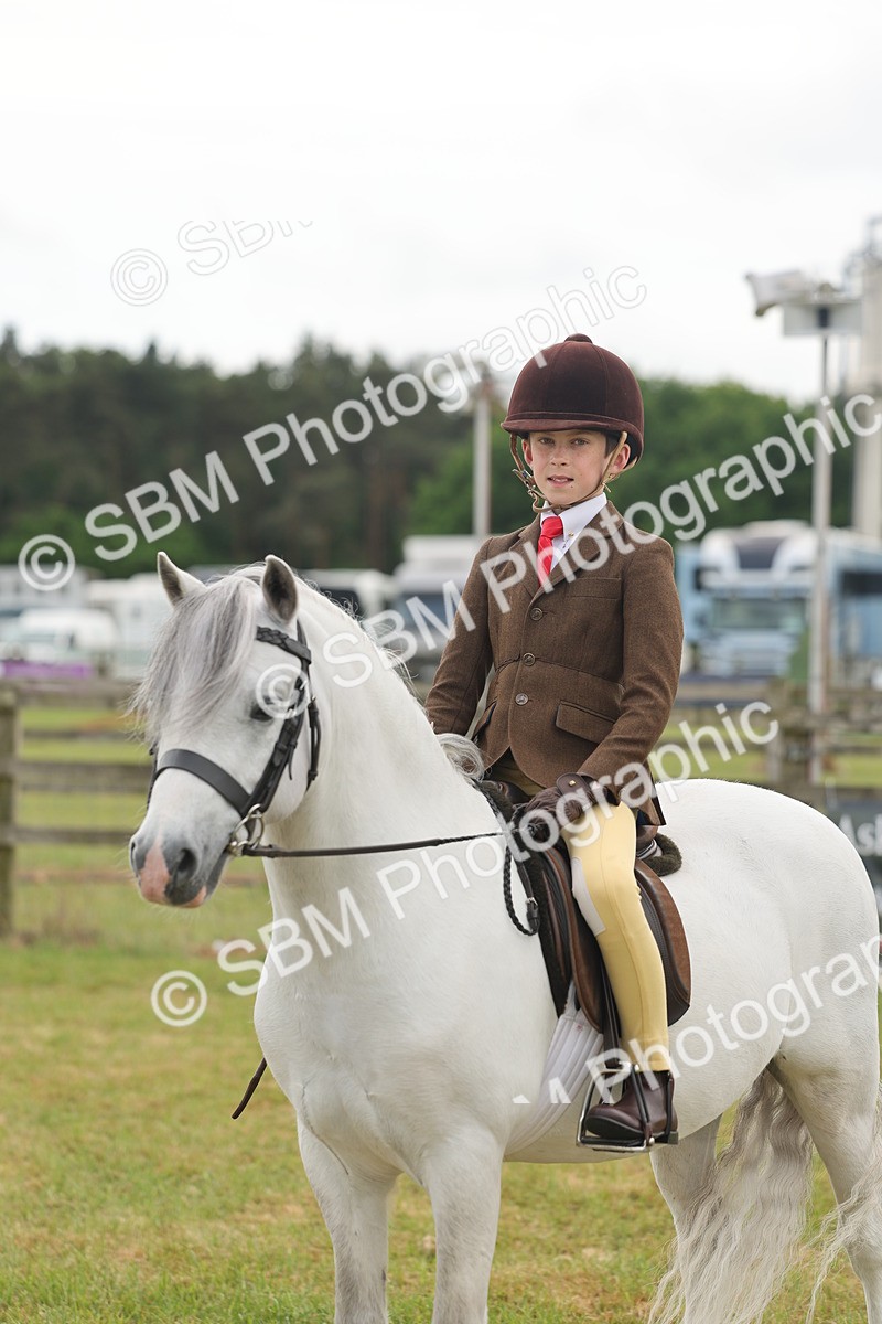 SBM_06884 - Class 74-75 - M&M Lead Rein and First Ridden Pony