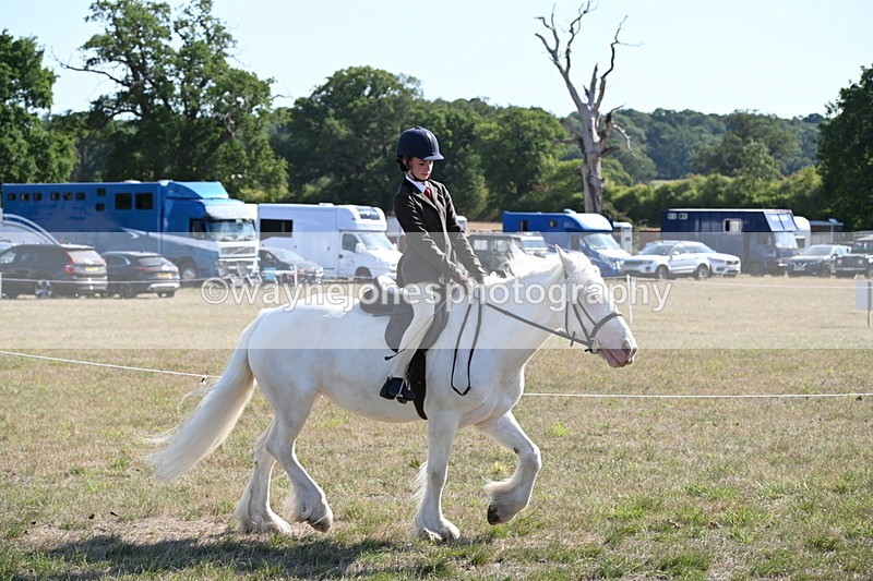 WJ6_7480 - Class 34 Judges Choice